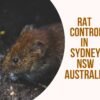 RAT Control