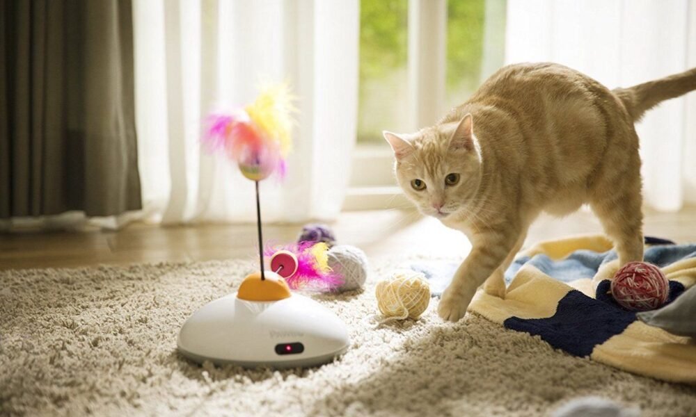 Cat Toys Online: Your Cats Best Friend